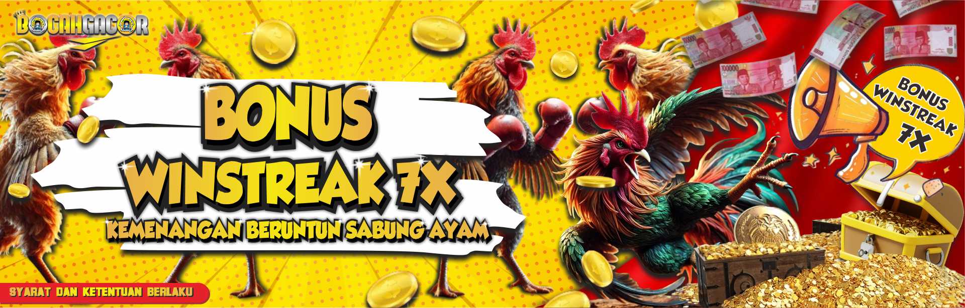 BONUS WIN STREAK 7X SABUNG AYAM