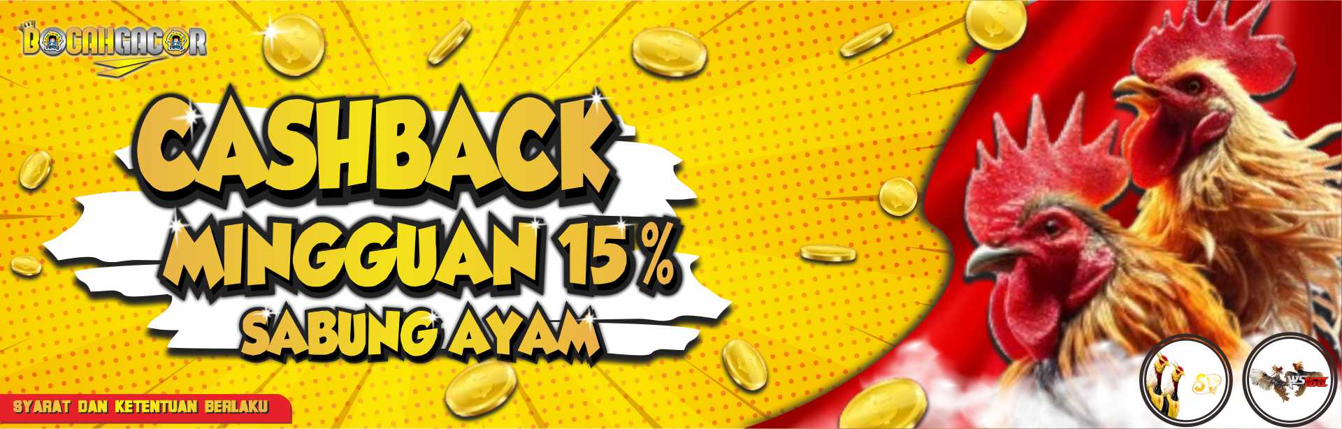 CASHBACK MINGGUAN 15% SABUNG AYAM